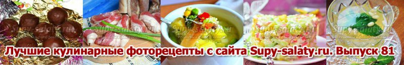      Supy-salaty.ru.  81