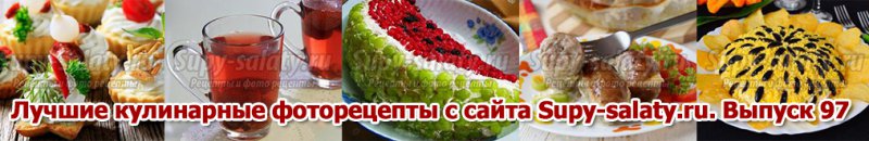      Supy-salaty.ru.  97