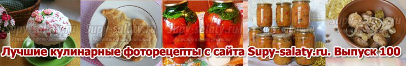      Supy-salaty.ru.  100