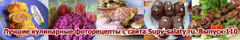      Supy-salaty.ru.  110