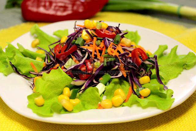 салат из краснокочанной капусты со свежими овощами