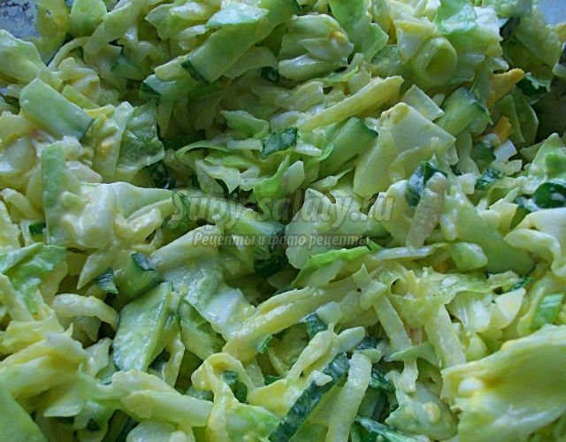 салат летний с капустой. 15 популярных рецептов