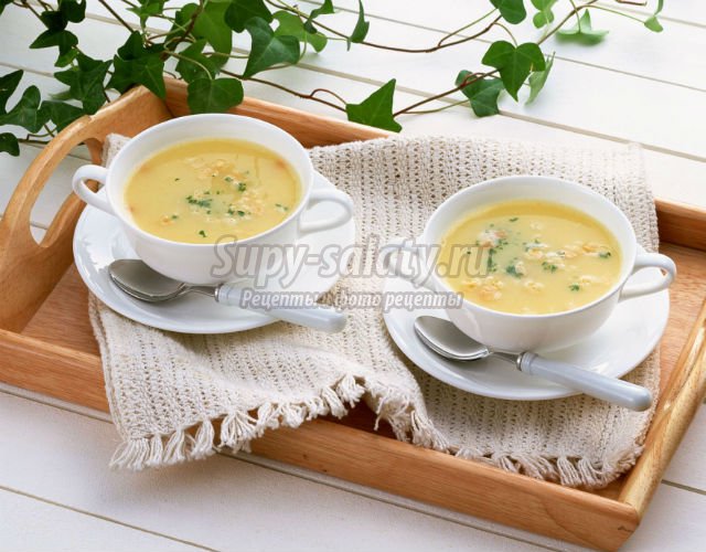 Овощной суп для похудения. Рецепты для эффективной потери веса