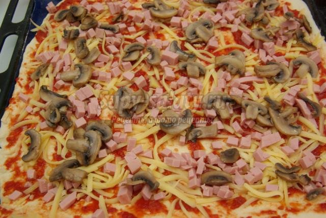 домашняя пицца с колбасой, грибами, сыром 