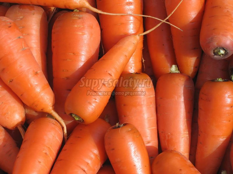 морковь на зиму
