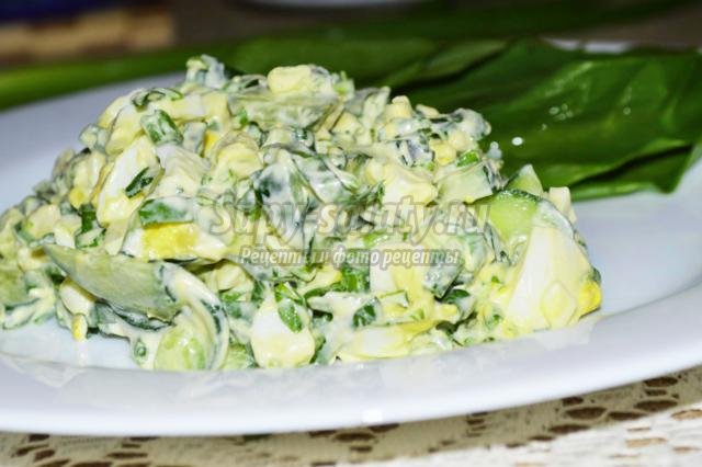 салат с черемшой и зеленым луком