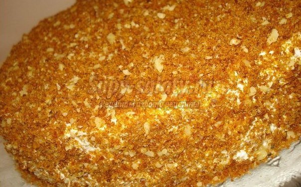 Рецепты медовых тортов. ТОП-10 к праздничному столу