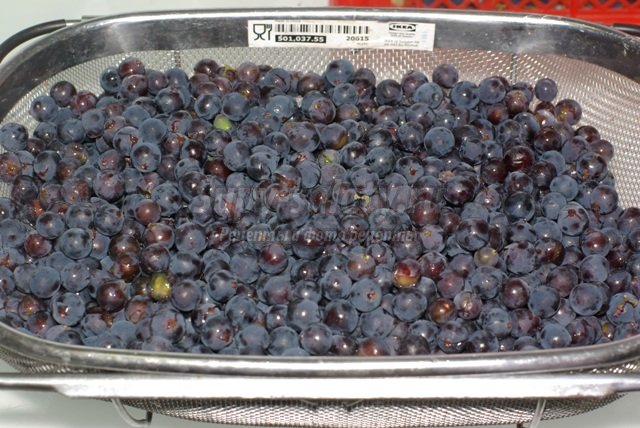 Сушёный виноград