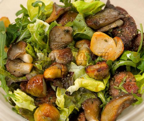 Простые салаты с грибами: рецепты с фото