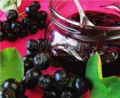 компот из черноплодки: популярные рецепты с фото