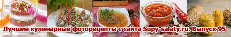      Supy-salaty.ru.  95