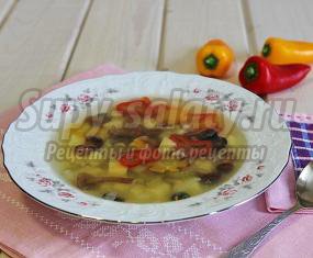 Овощной суп с опятами в мультиварке