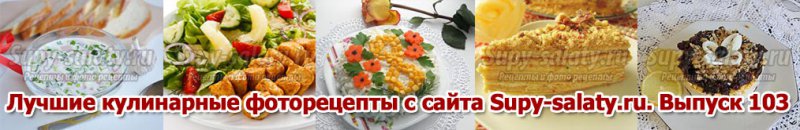      Supy-salaty.ru.  103
