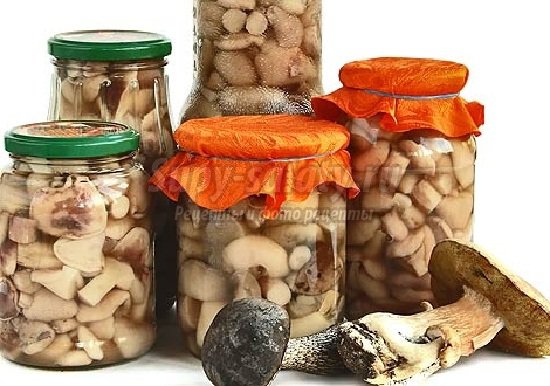 Как солить белые грибы: лучшие рецепты с фото