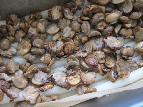 Запеканка с грибами и макаронами