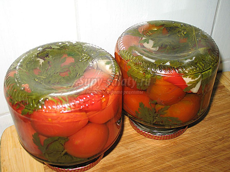 маринованные помидоры с петрушкой рецепт