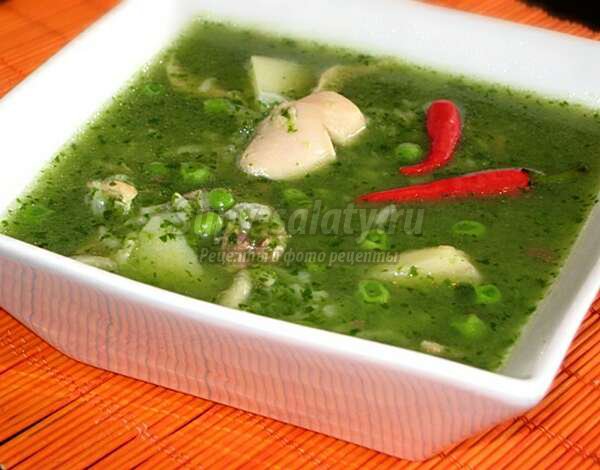 зеленый суп: ТОП-10 рецептов.