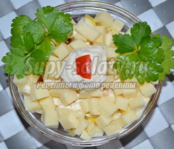 вегетарианский салат из помидоров с яблоками и сыром