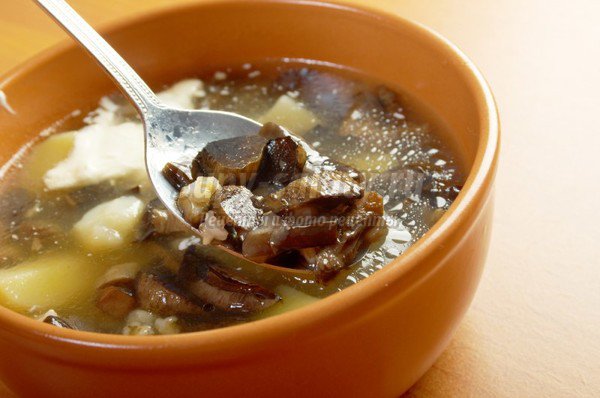 Суп из замороженных грибов. Как приготовить правильно? 