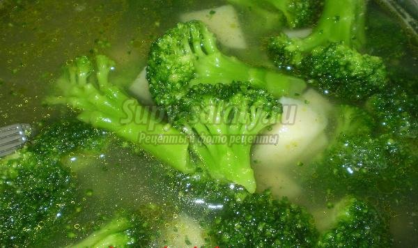 суп из брокколи: популярные рецепты с фото. 