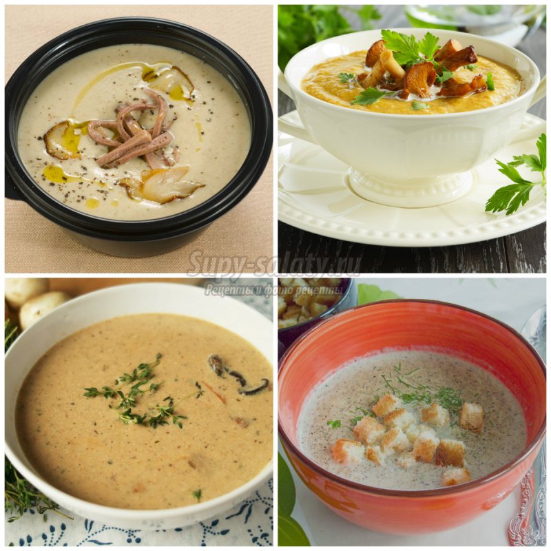 Грибной суп пюре: лучшие рецепты с фото. 