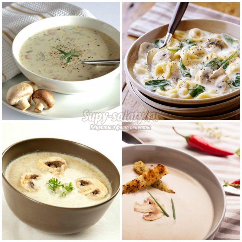 Грибной суп пюре: лучшие рецепты с фото. 