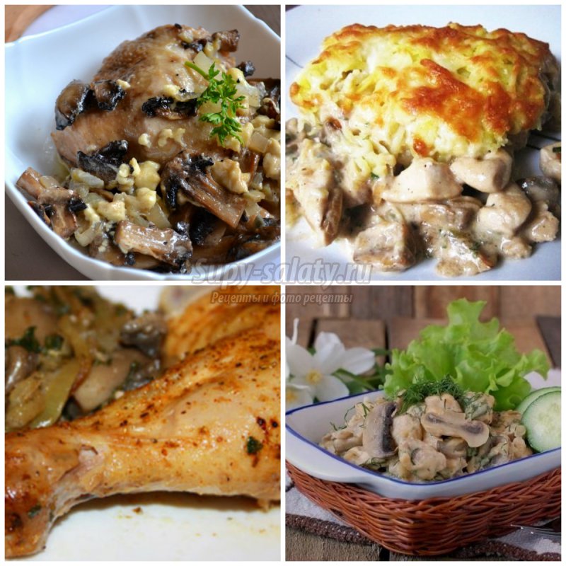 Курица с грибами в духовке: подробные рецепты с фото.