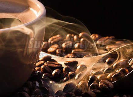Свежеобжаренный кофе в зернах: на что обращать внимание при покупке?