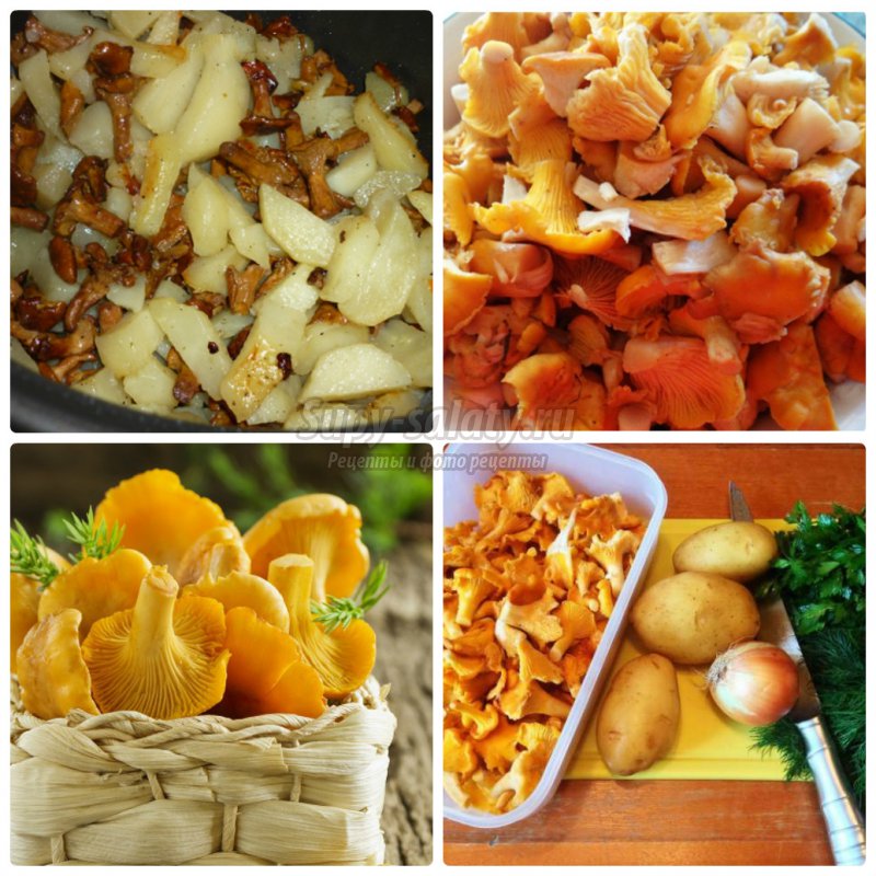 Лисички с картошкой: как приготовить? Подробные рецепты с фото
