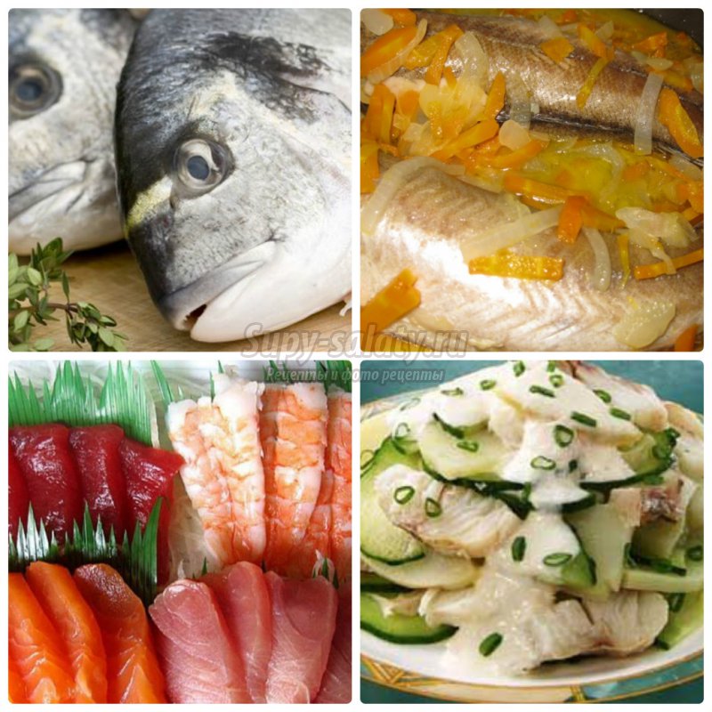 салат на зиму c рыбой: оригинальные рецепты пошагово с фото