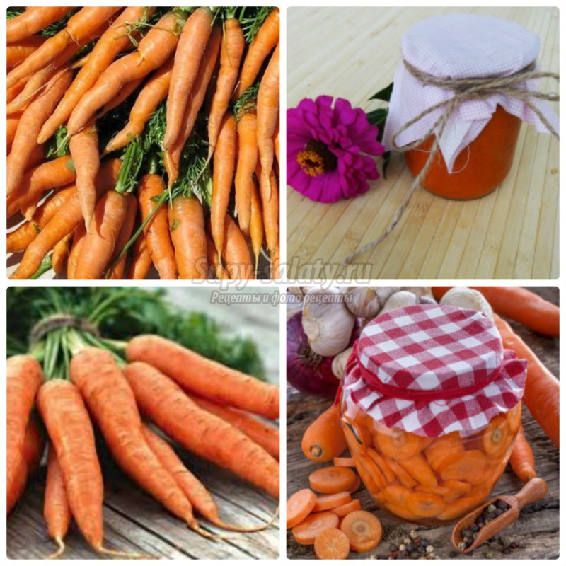 Морковь с луком на зиму: золотые рецепты с фото