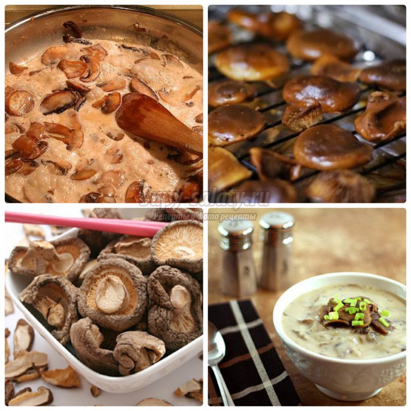 Как приготовить грибы: вкусные рецепты с фото