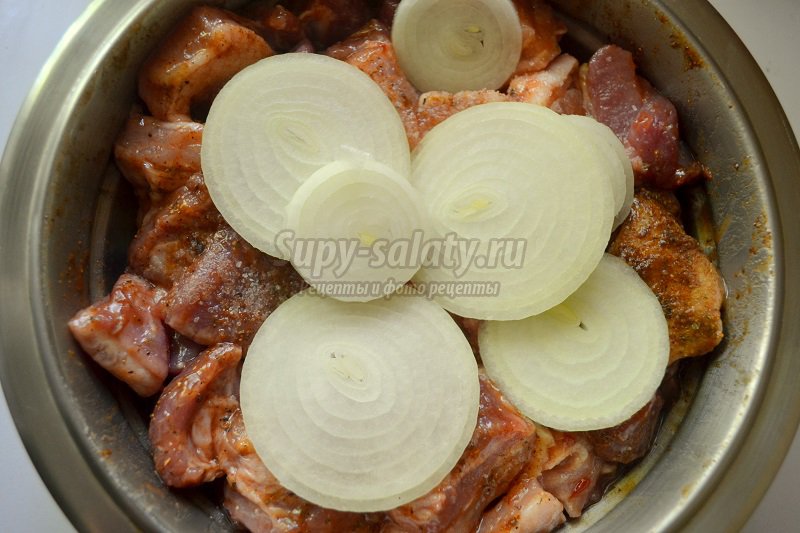 шашлык из свинины с киви рецепт