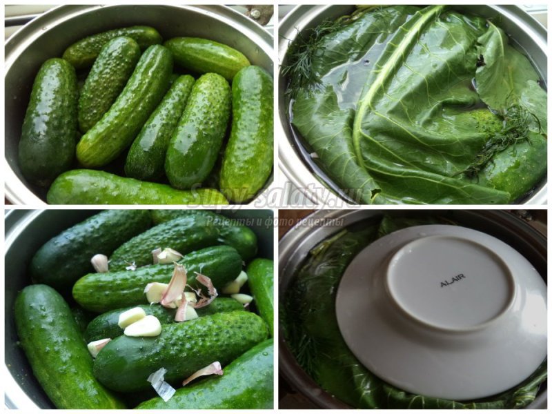 Малосольные огурцы быстрого приготовления: пошаговые рецепты с фото